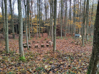Sitzkreis im Wald